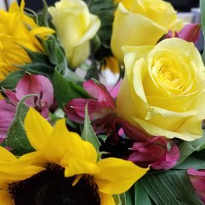 Meet your Posher, Paula